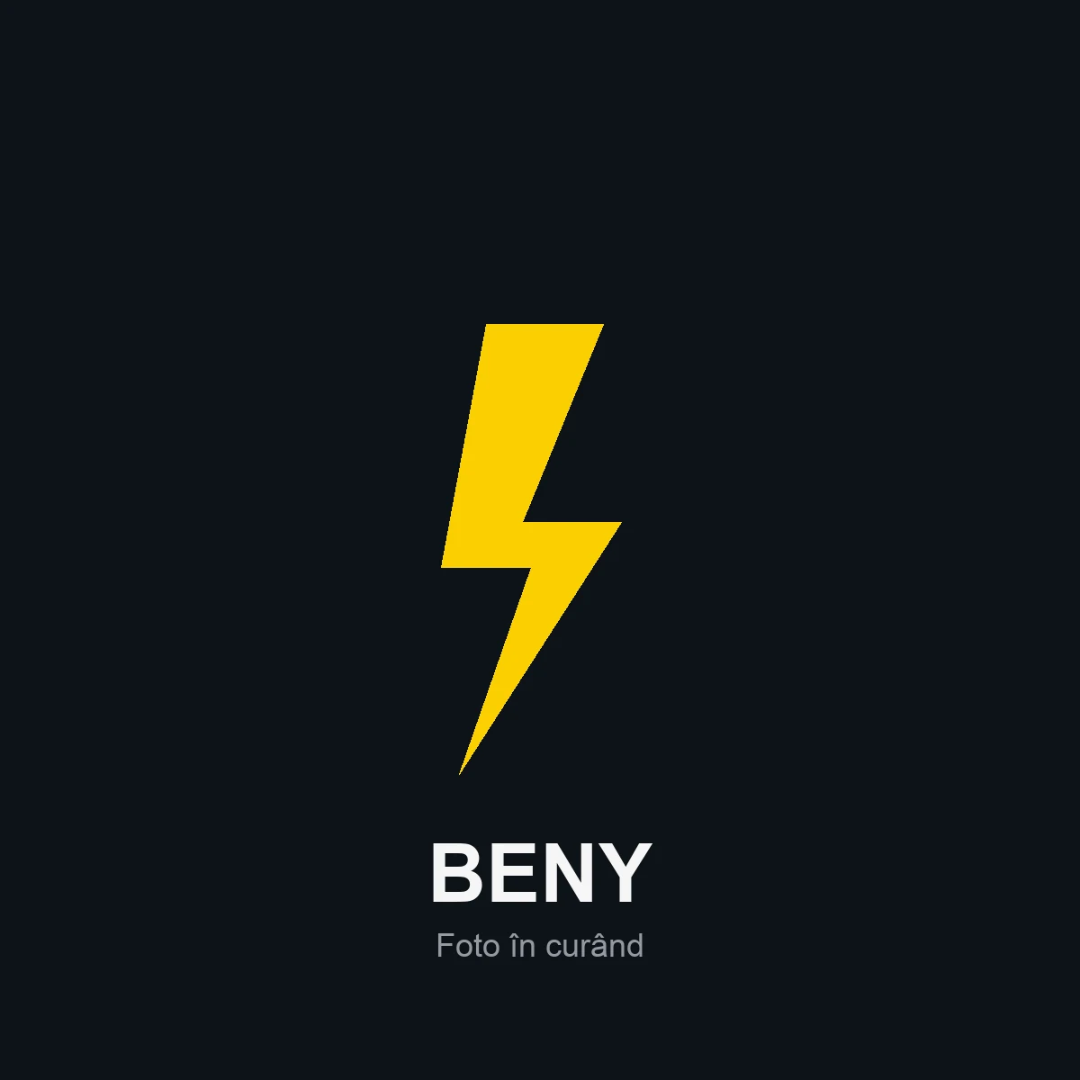 BENY · Cabluri de Încărcare Type 2